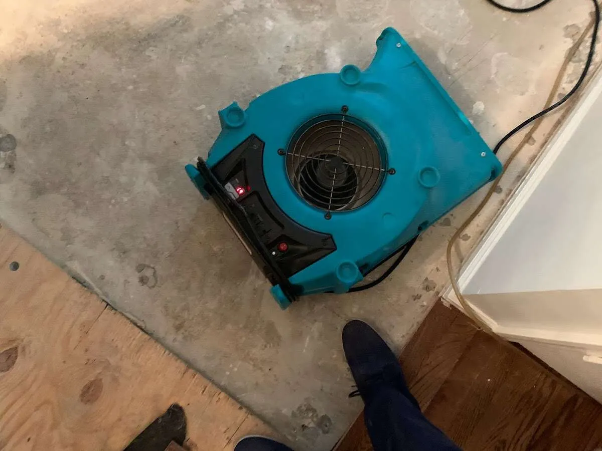 Air mover drying subfloor during Leak Detection & Repair in Livonia
